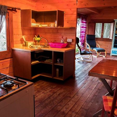 Finca Pura Vida Blockhaus Mazo Eksteriør billede