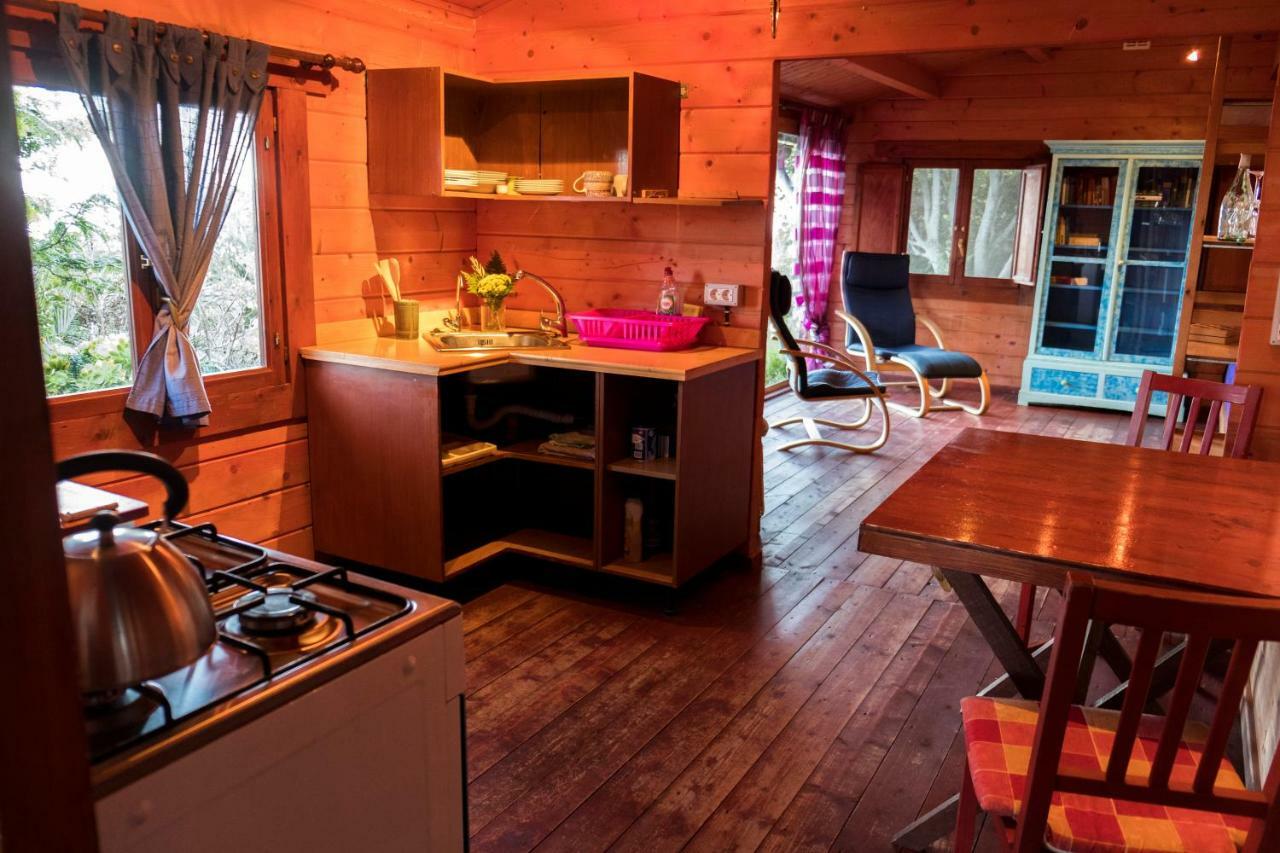 Finca Pura Vida Blockhaus Mazo Eksteriør billede
